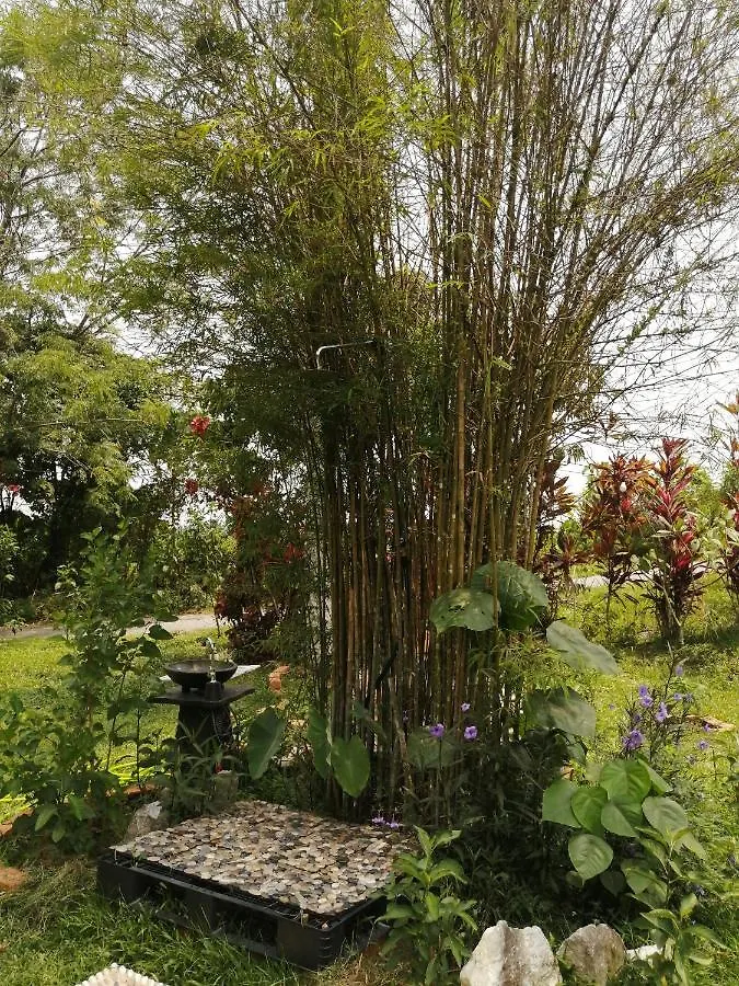 Luxury tent Eco Resort Beverly Hills Ipoh